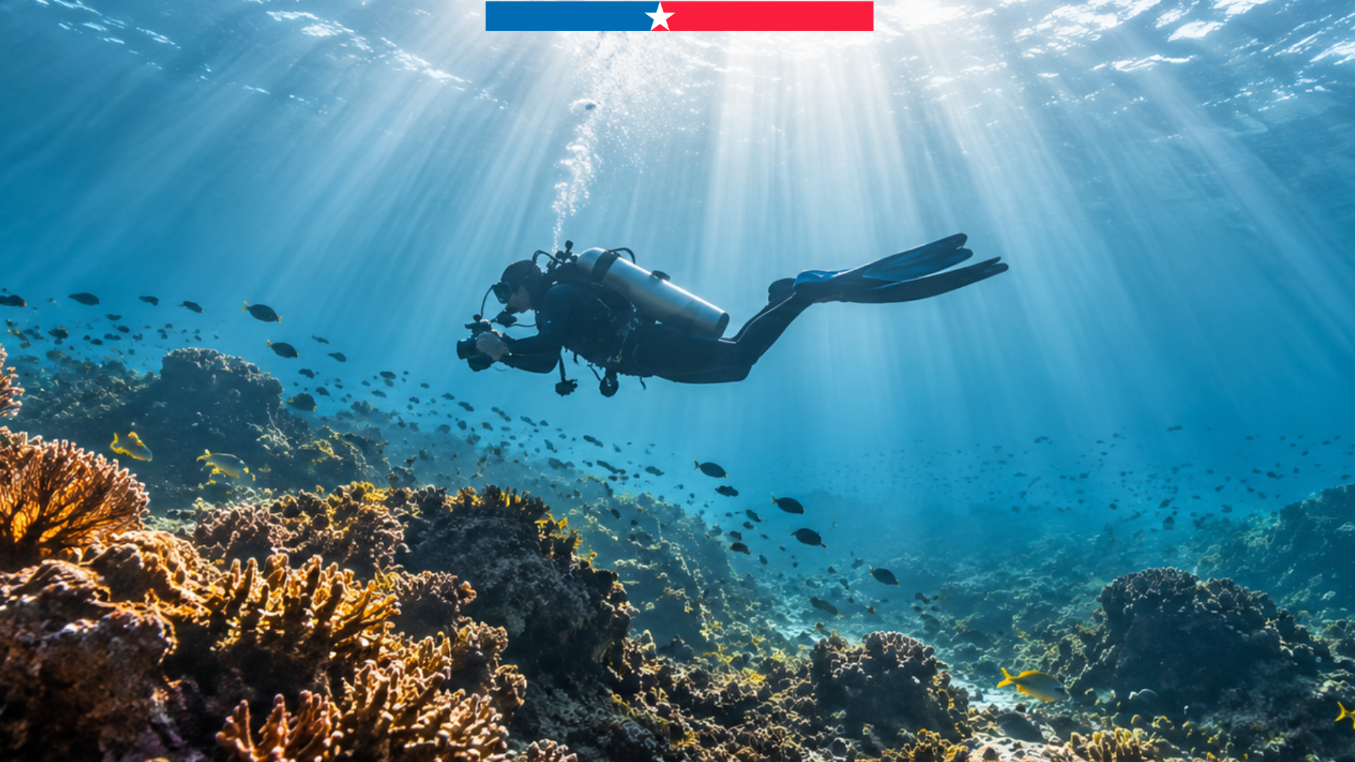 Persona con equipo de buceo bajo el agua